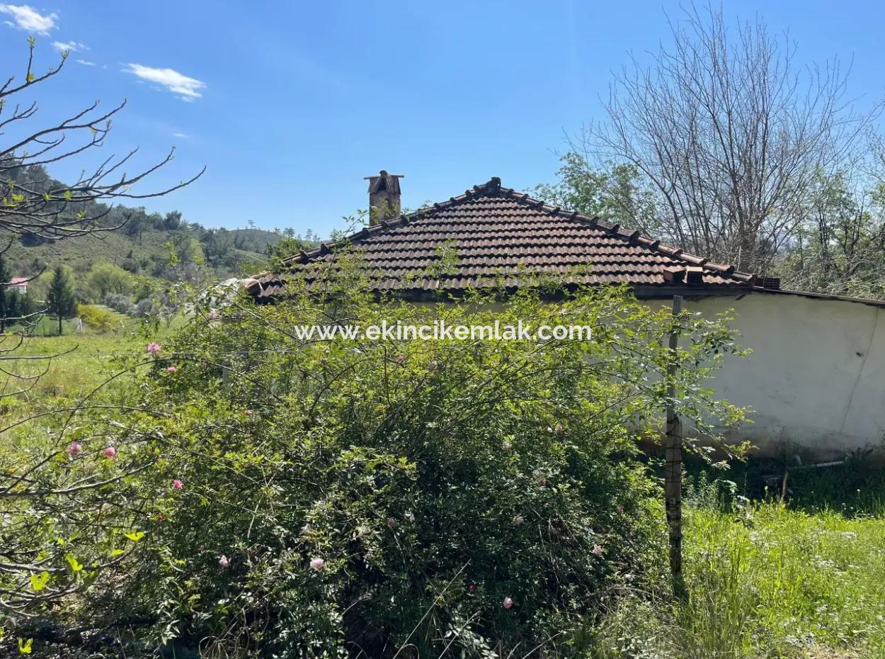 Mehrfamilienhaus Zum Verkauf In 5650M2 Feld In Zeytinalann