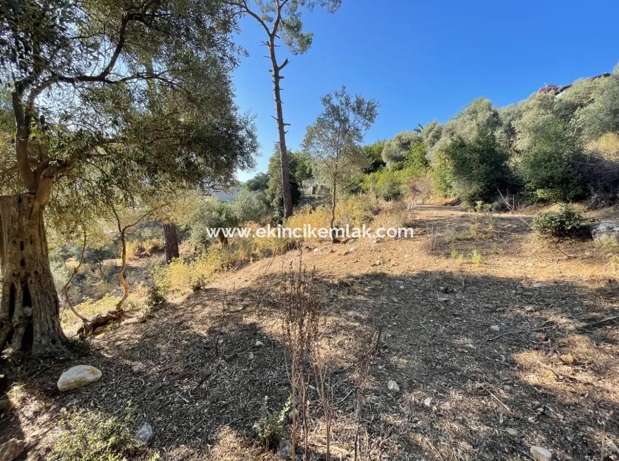 1.320M2 Feld Zum Verkauf Im Zentrum Von Çandır Am Wald