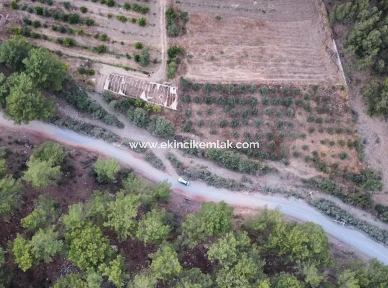 3578M2 Feld Zum Verkauf An Der Straße Von Aşı Koyu In Mergenlide