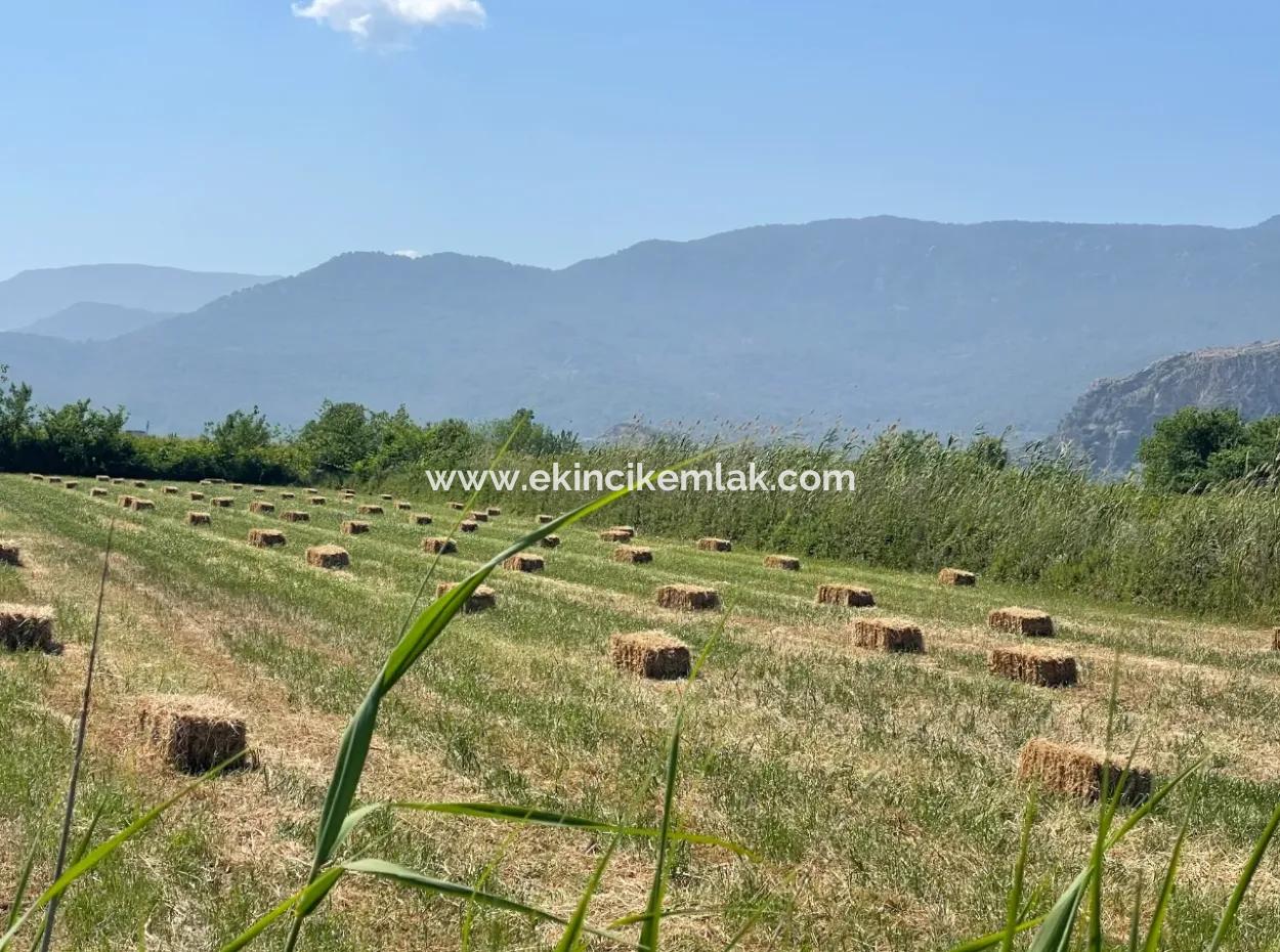 6.500 M2 Feld Zum Verkauf An Der Iztuzu-Straße In Dalyan