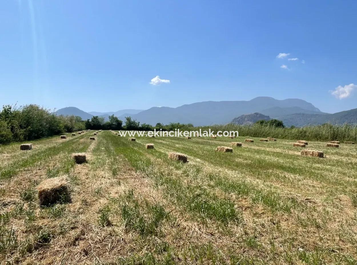 6.500 M2 Feld Zum Verkauf An Der Iztuzu-Straße In Dalyan