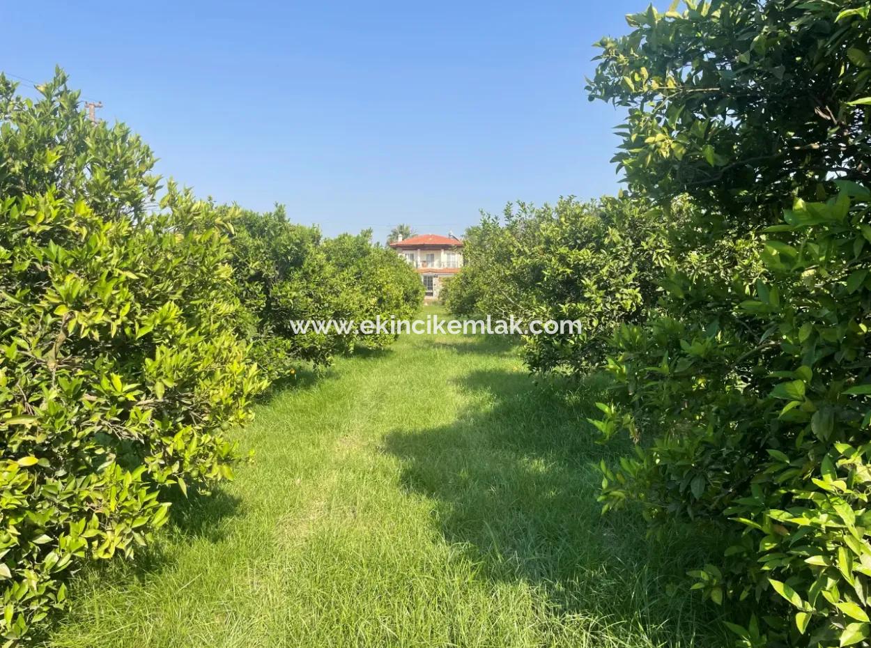 Grundstück Zum Verkauf In Gulpinar, Dalyan 722M2