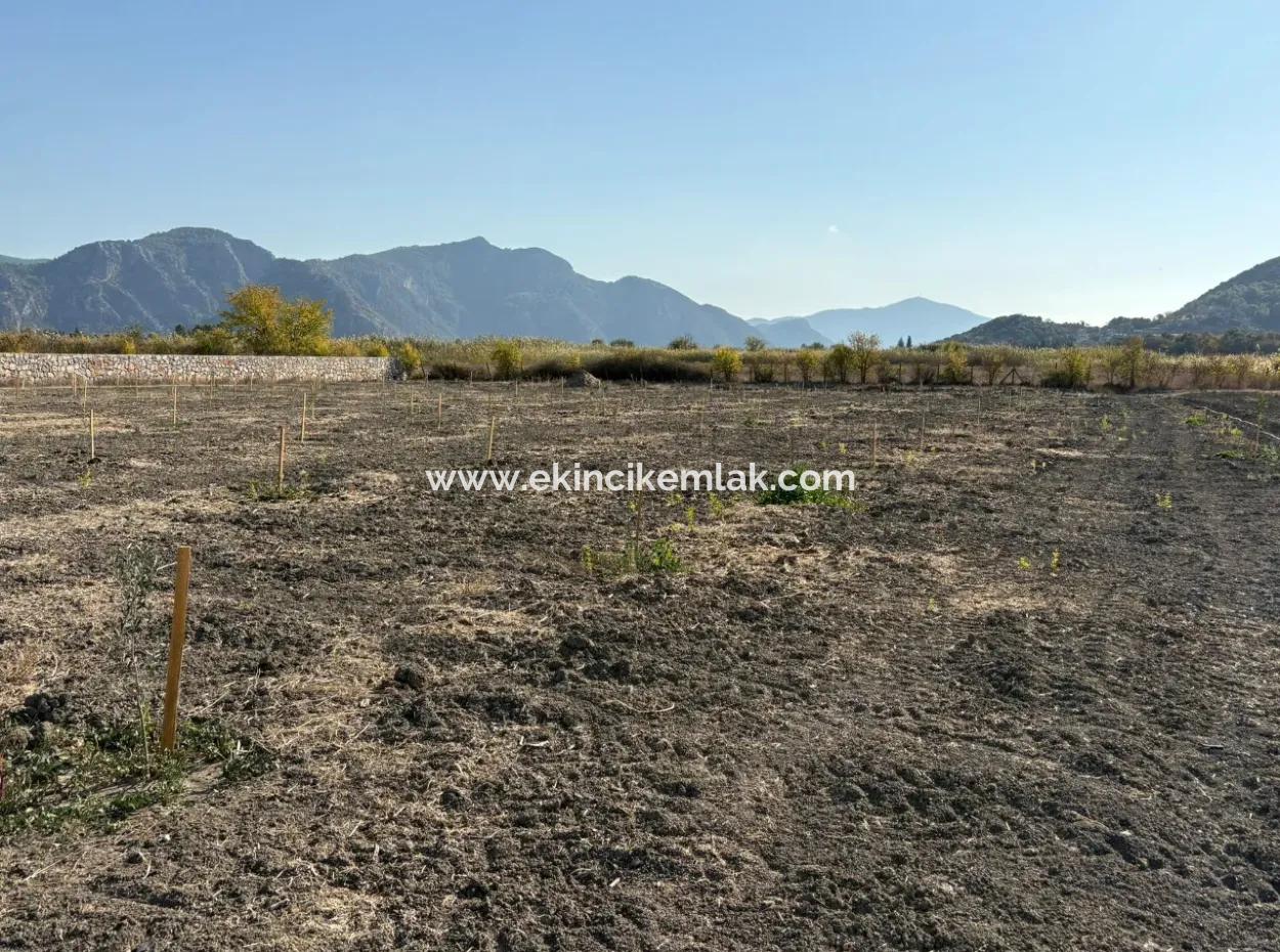 19.663M2 Ackerland Und Haus Zum Verkauf In Eskiköy