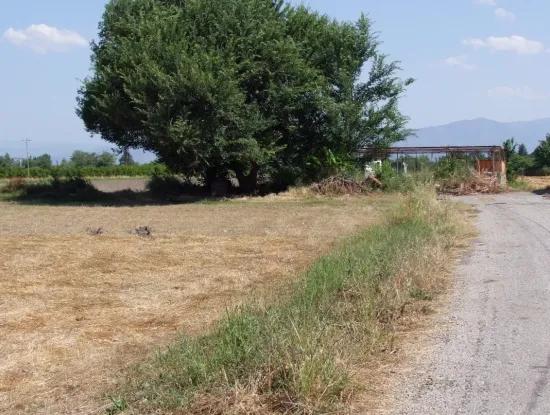 Grundstück Zum Verkauf An Der Ecke Von 540M2 In Okcular