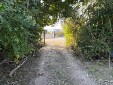 6150M2 Zitronen- Und Granatapfelgarten Zum Verkauf In Eskiköy