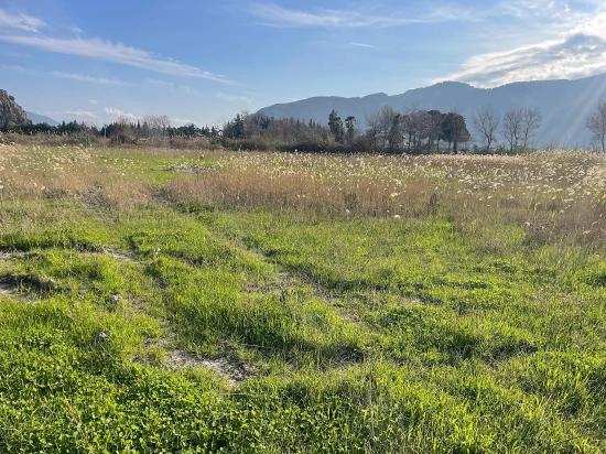 6800 M² Großes Grundstück In Dalyan Zu Verkaufen, 5% Wohnbebauungszone.