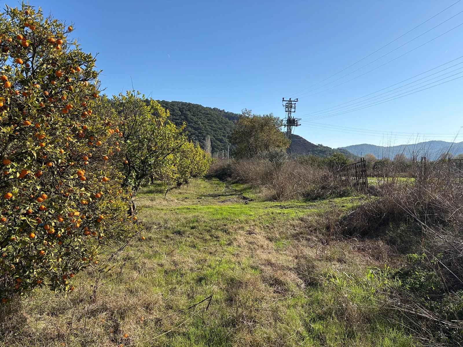 23,000 M² Detached Land For Sale In Tepearası.