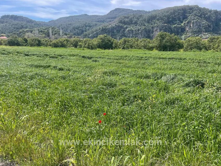 Archers' In Okçular'da 736m2 Olan 250m2 Construction Licensed For Sale Plot