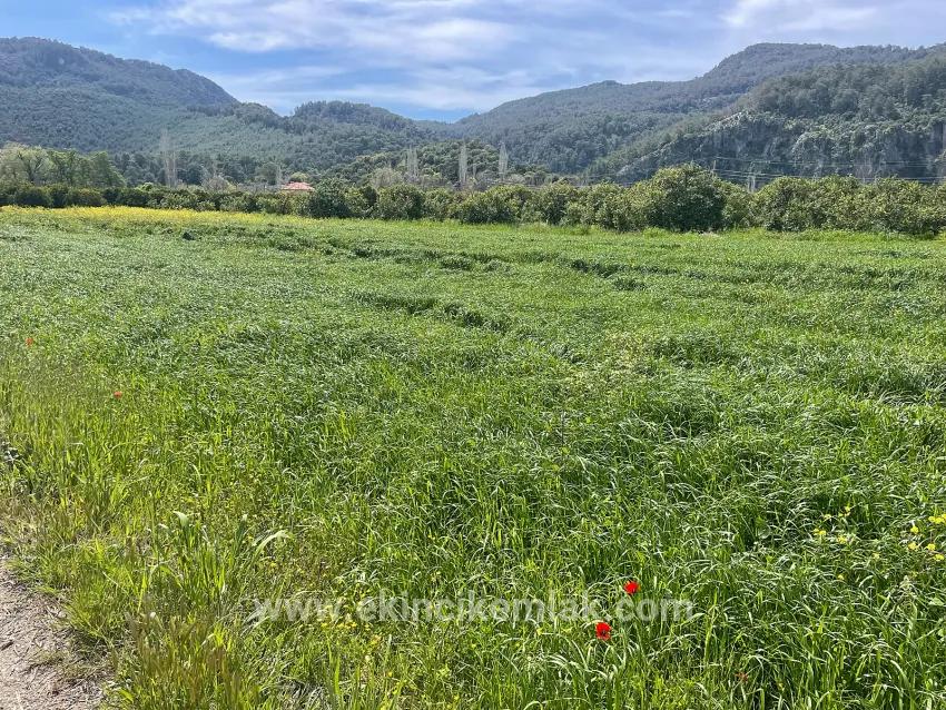 Archers' In Okçular'da 736m2 Olan 250m2 Construction Licensed For Sale Plot