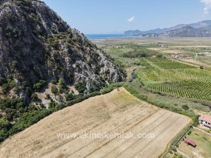 Field For sale in Dalyan Nbh. Ortaca - Field Zoned - 20.786 m²