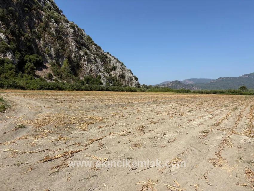 Field For sale in Dalyan Nbh. Ortaca - Field Zoned - 20.786 m²