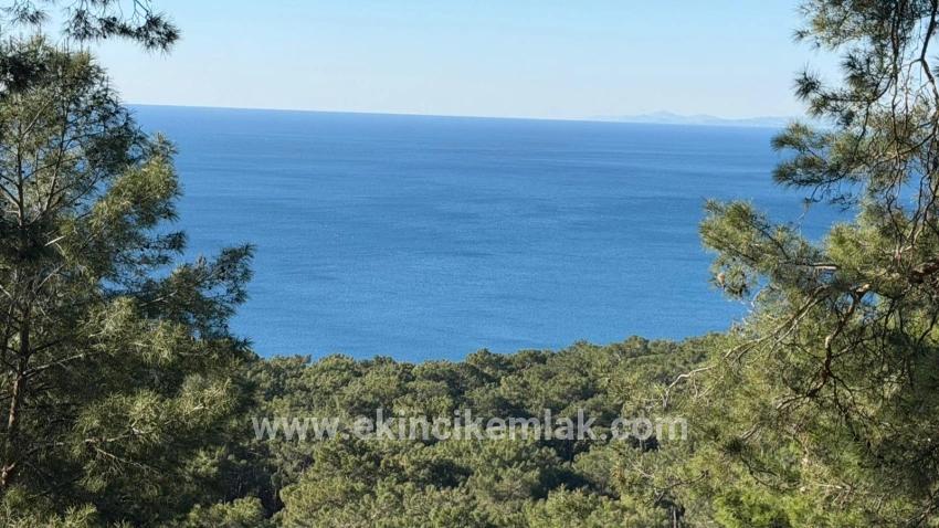 Field For sale in Çandır Nbh. Köyceğiz - Housing Zoned - 5.715 m²