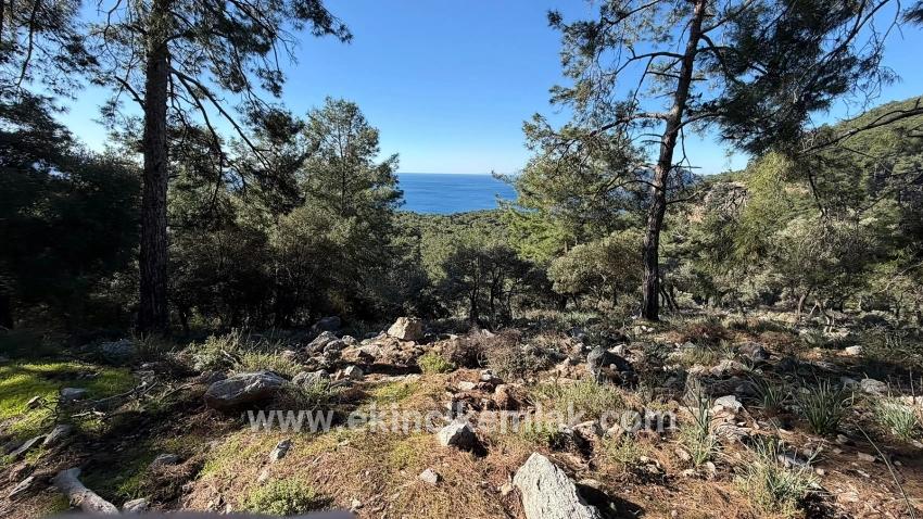Field For sale in Çandır Nbh. Köyceğiz - Housing Zoned - 5.715 m²