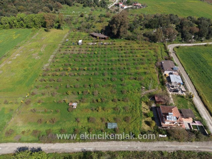 Tourism-oriented Business For Sale On An 11,000 M2 Plot Of Land In Eskiköy.