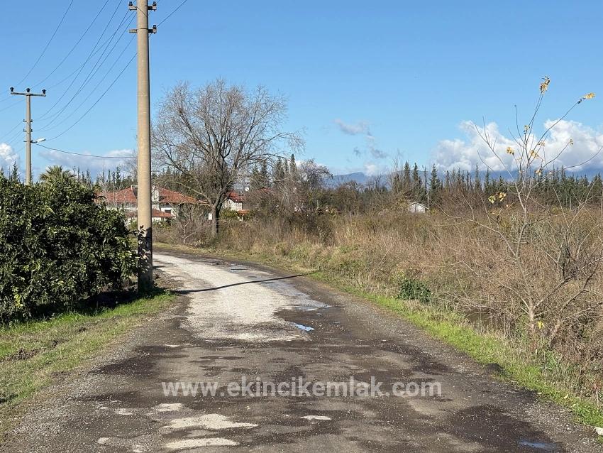 Field For sale in Tepearası Nbh. Ortaca - Vineyards & orchards Zoned - 23.000 m²