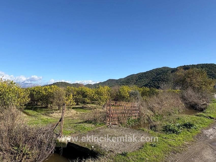 Field For sale in Tepearası Nbh. Ortaca - Vineyards & orchards Zoned - 23.000 m²