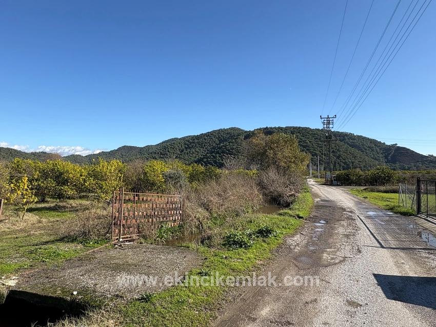 Field For sale in Tepearası Nbh. Ortaca - Vineyards & orchards Zoned - 23.000 m²