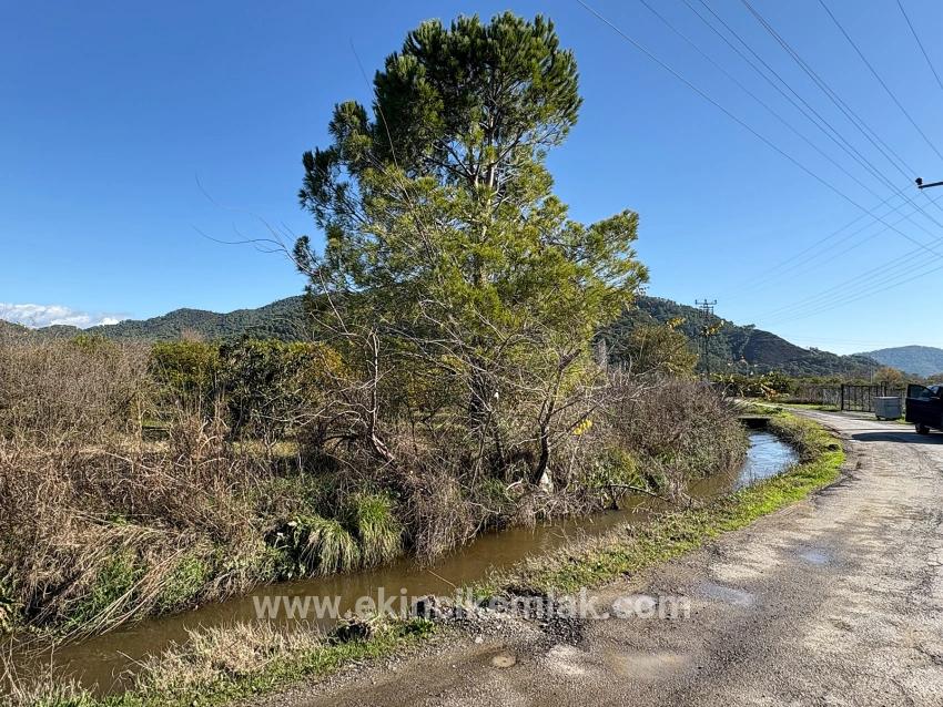 Field For sale in Tepearası Nbh. Ortaca - Vineyards & orchards Zoned - 23.000 m²