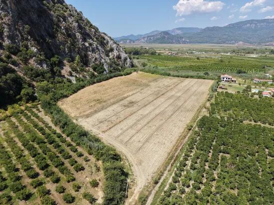 In Dalyan, a 20.786m2 field for sale