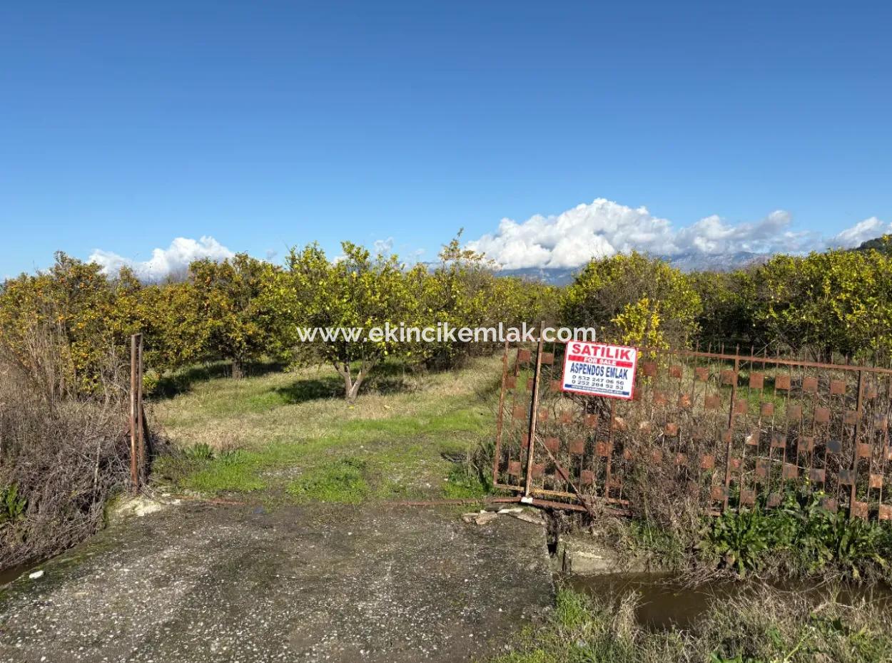 23,000M2 Detached Field Garden For Sale In Tepearasin,