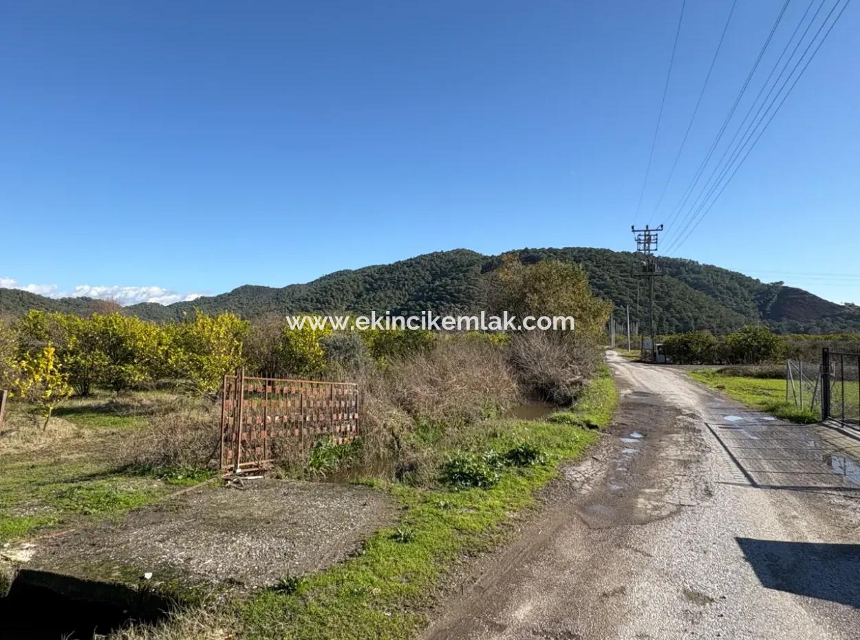 23,000M2 Detached Field Garden For Sale In Tepearasin,