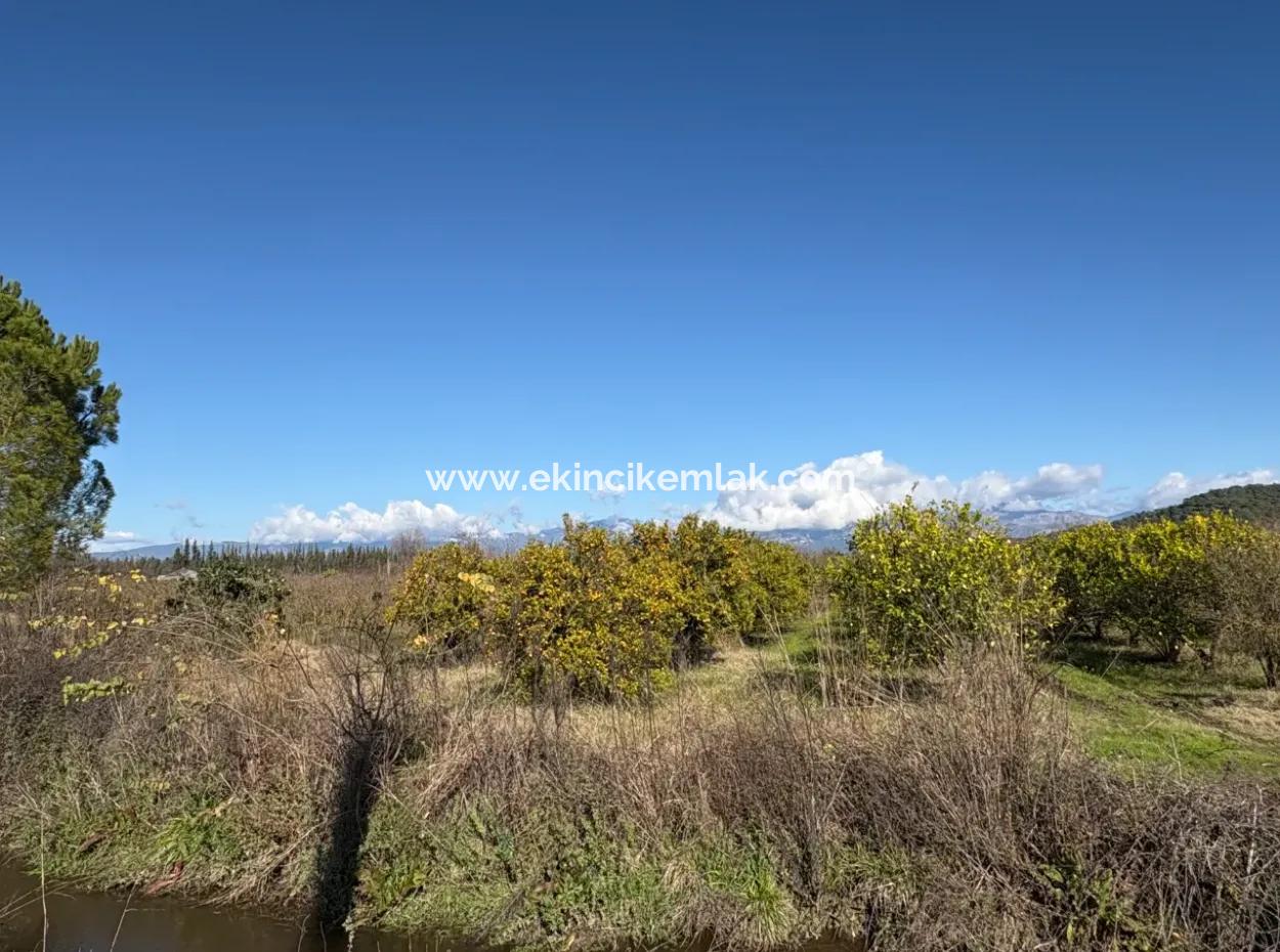 23,000M2 Detached Field Garden For Sale In Tepearasin,