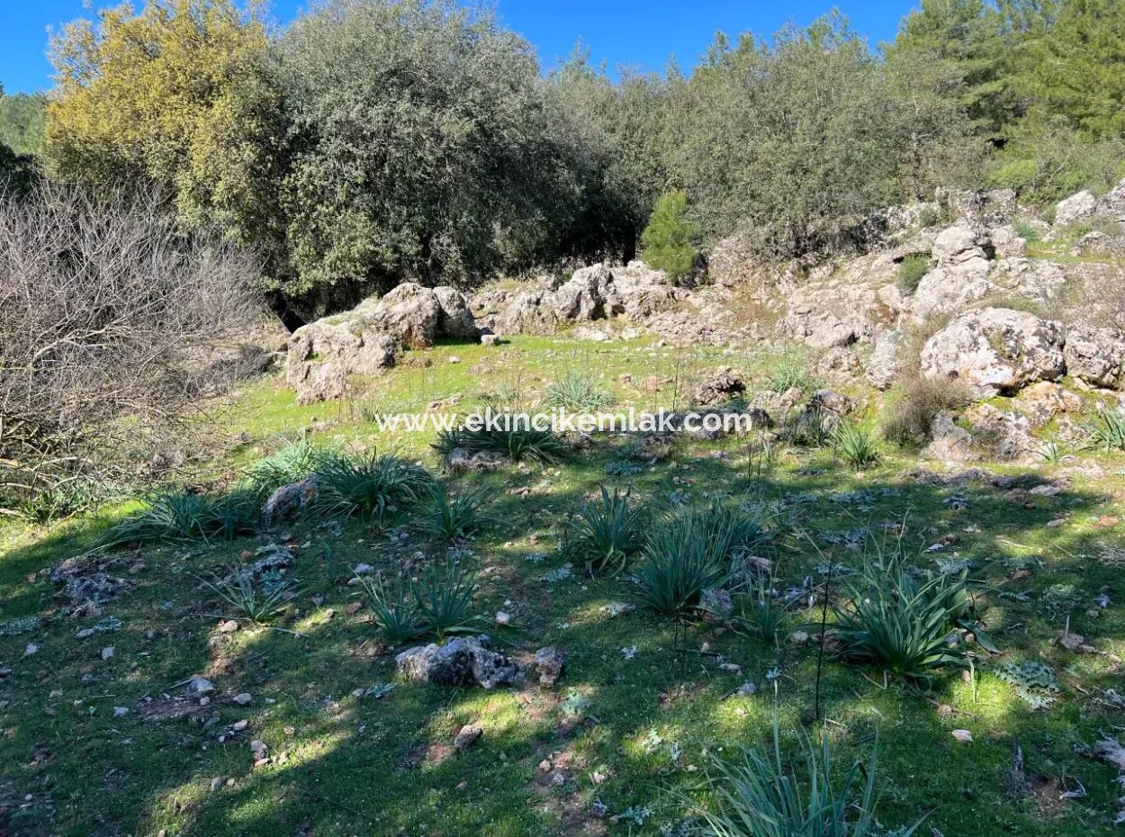 Land For Sale In Nature And Forest In Gökbel