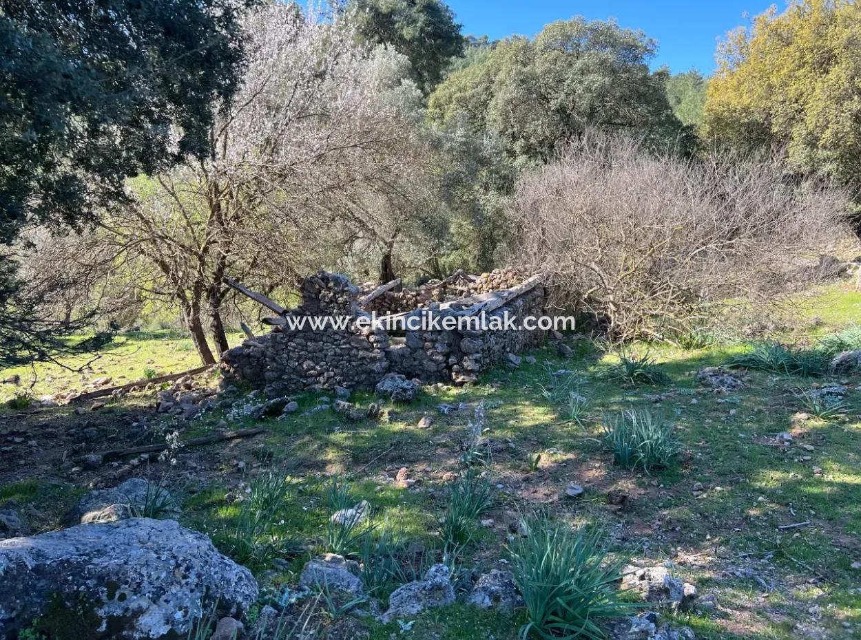 Land For Sale In Nature And Forest In Gökbel