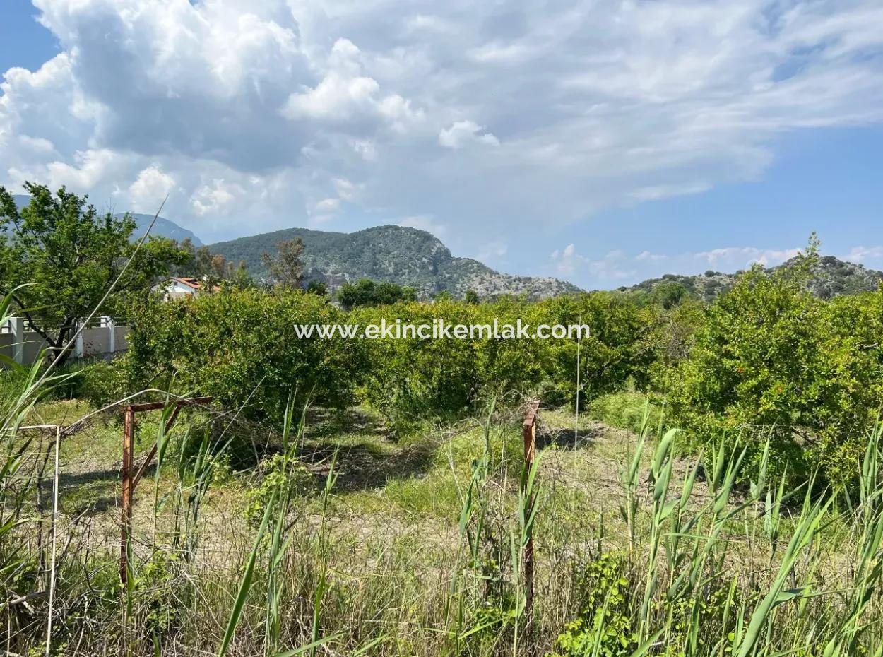5,100M2 Land For Sale In Dalyan Maraş Area With 5% Residential Zoning