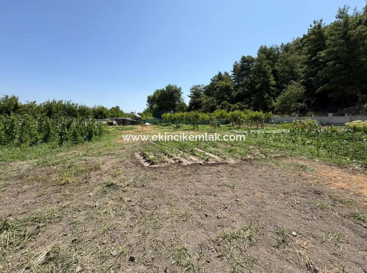 120M2 Detached Wooden House In A 2500M2 Field In Dalyan Karadağ