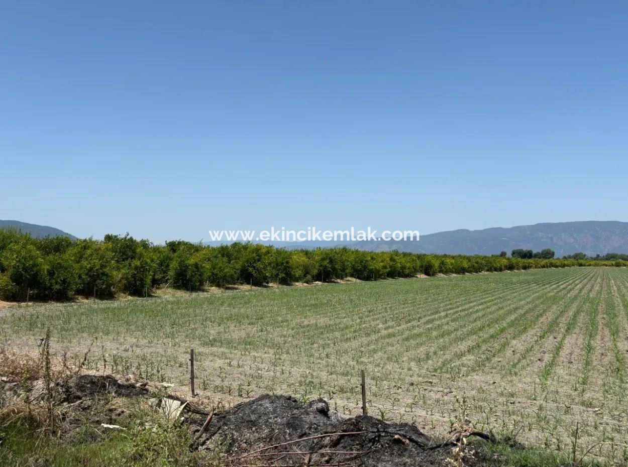 46,550M2 Land For Sale In Tepearası