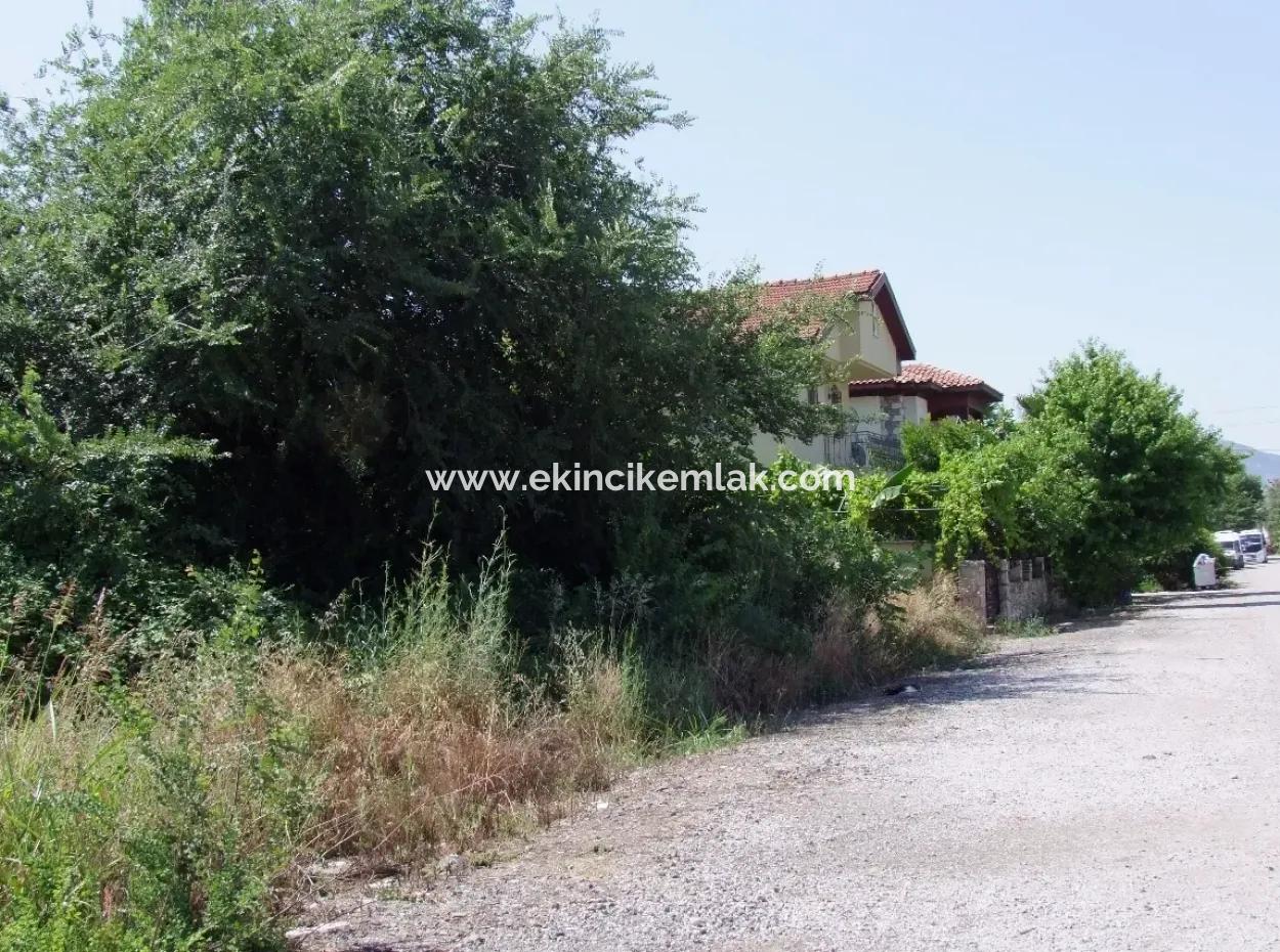 Gurpinar In Dalyan For Sale Dalyan Land For Sale, Plot For Sale In Köşebaşı 993M2 0 60
