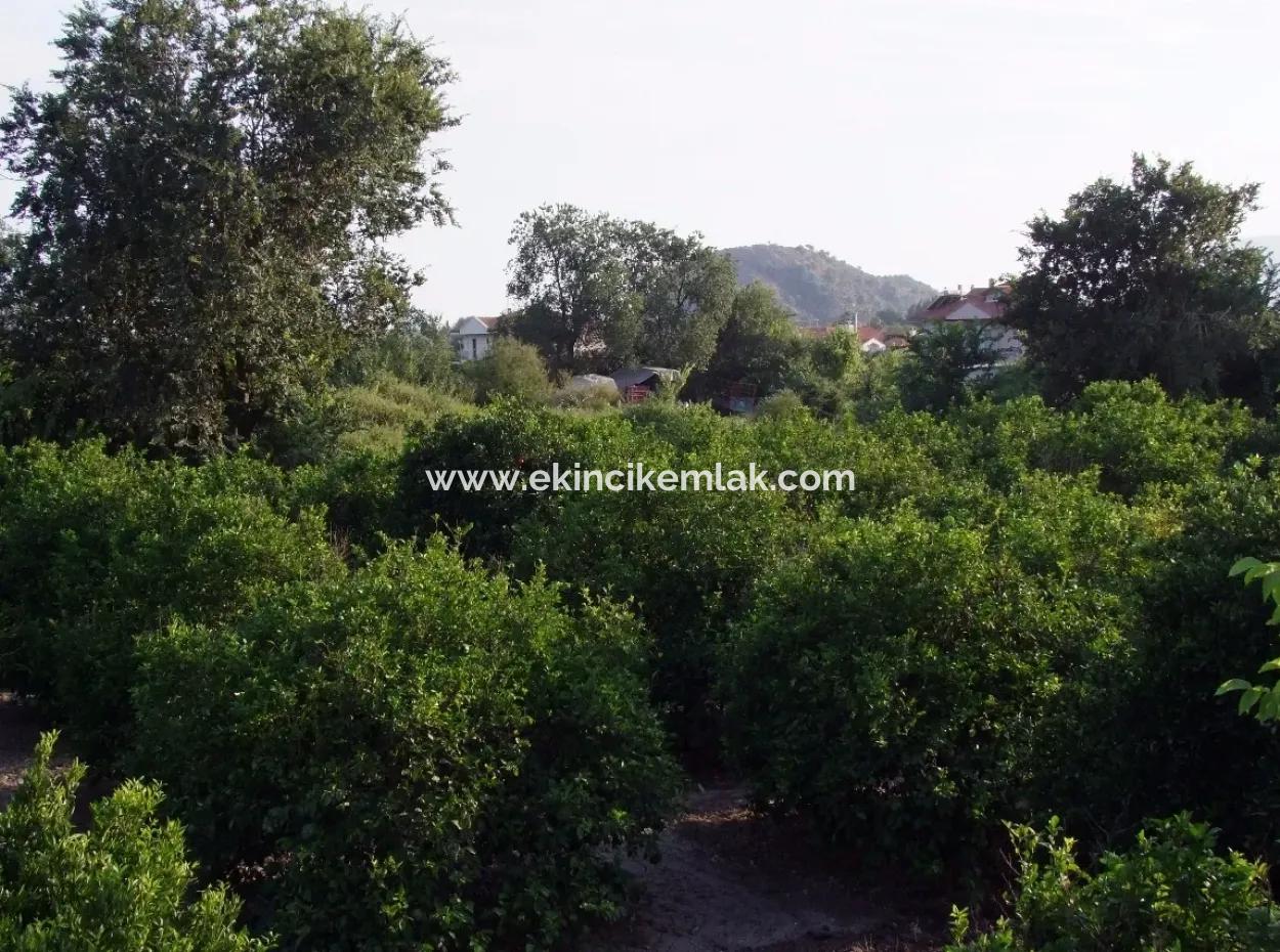 Near The Centre Of Dalyan In Dalyan Plot For Sale For Sale 987M2