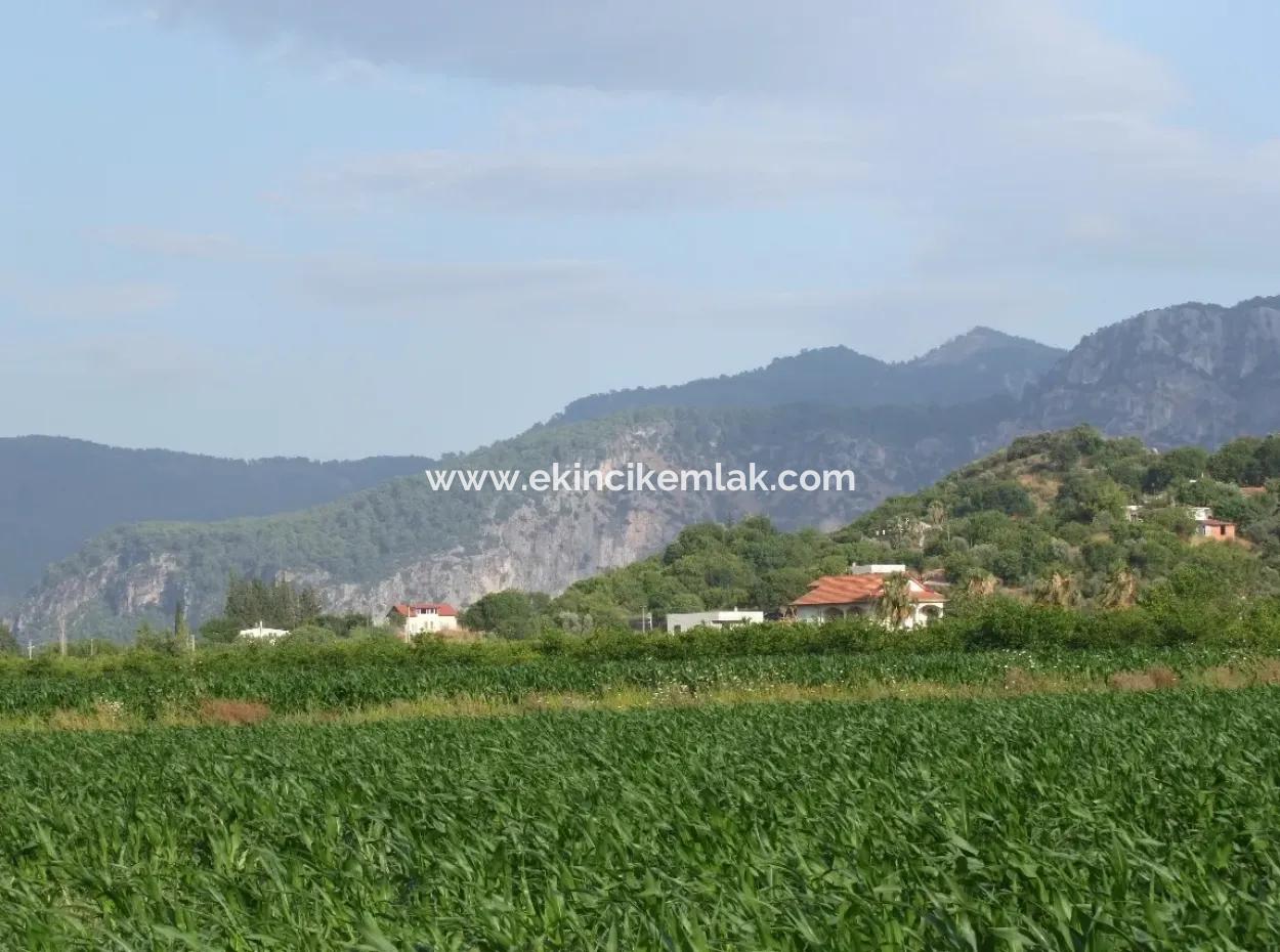 Farm For Sale Near The Centre Of Dalyan,14, 612M2 Farm For Sale