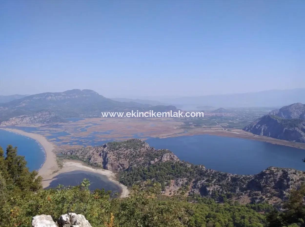 Merkez Dalyan Lake Iztuzu For Sale In Gokbel Zero Path 7484M2