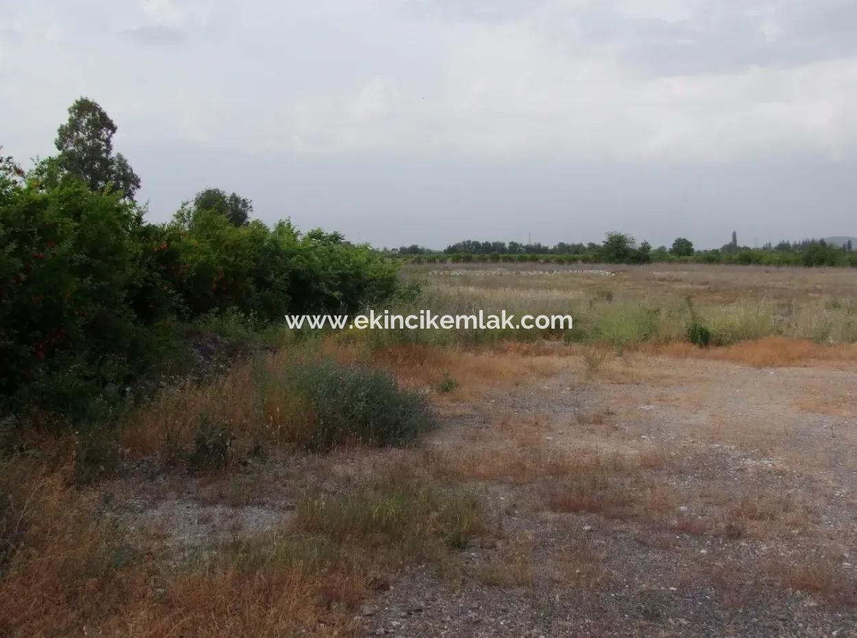 Commercial Plot For Sale In Dalyan, Dalyan On Highway 17,805M2 Plot For Sale Bargain