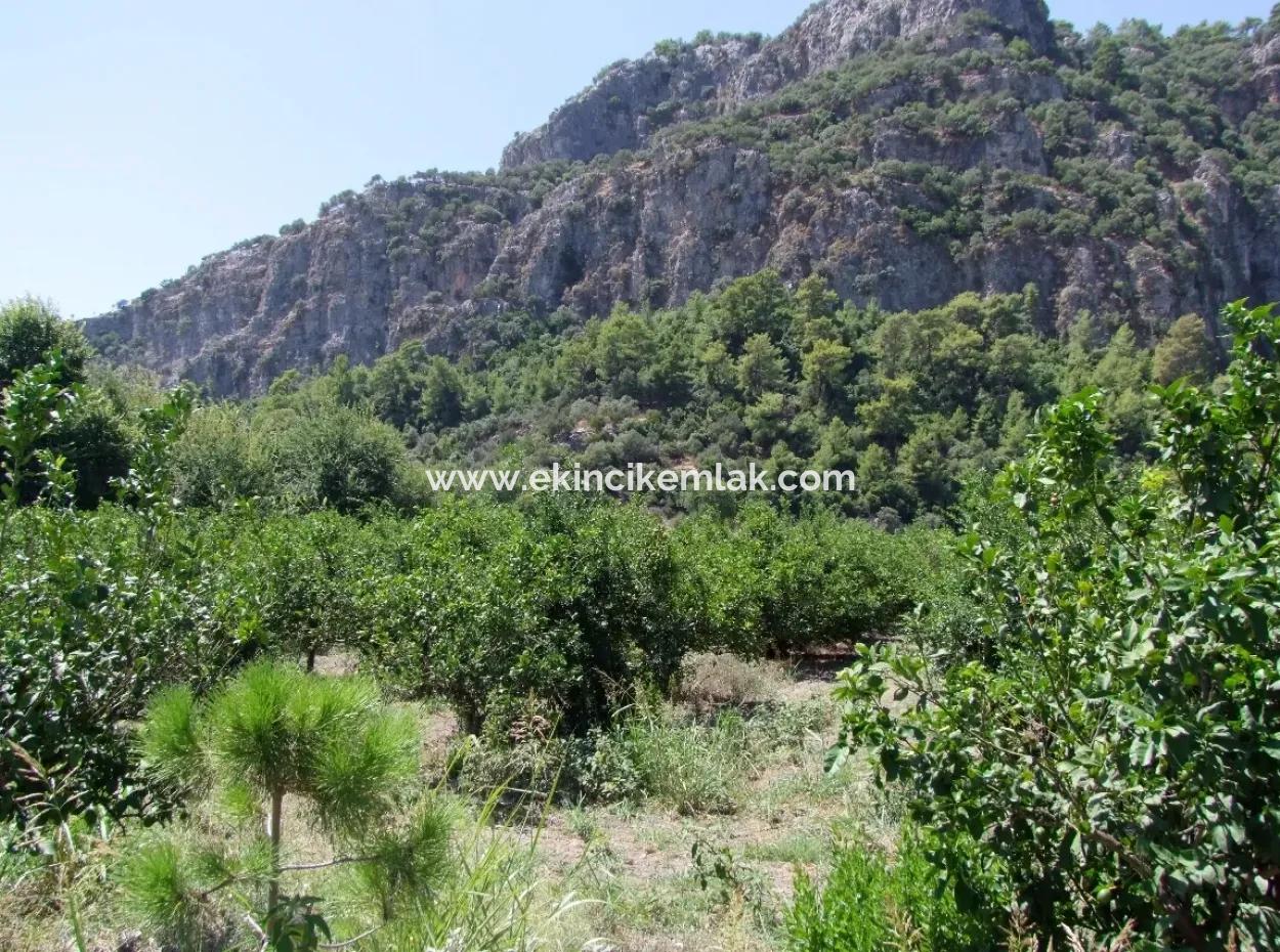 In Dalyan Plot For Sale In Channel Zero
