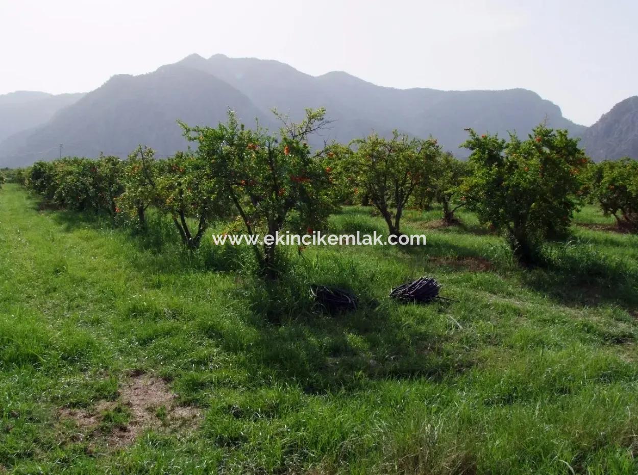 Merkez Dalyan Iztuzu Lake Garden Villa For Sale