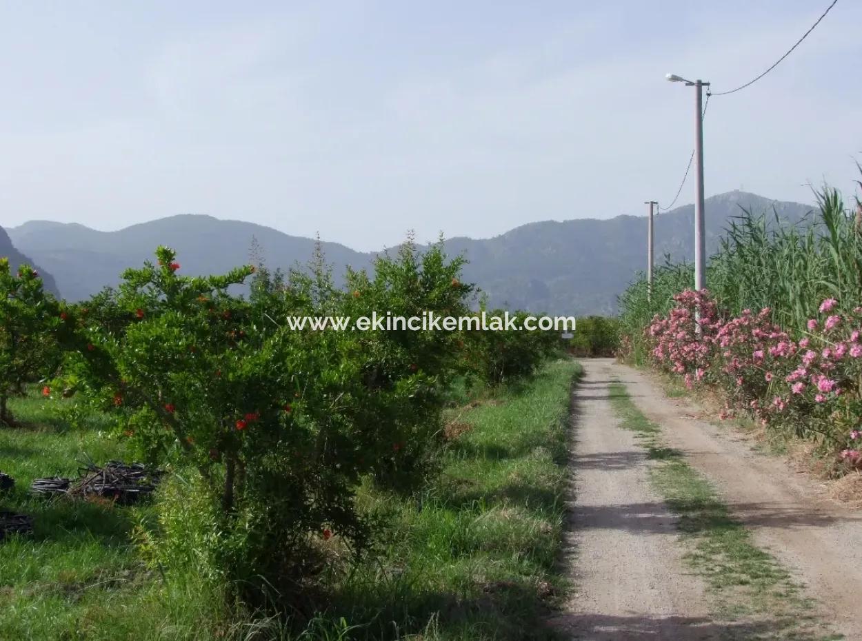 Merkez Dalyan Iztuzu Lake Garden Villa For Sale