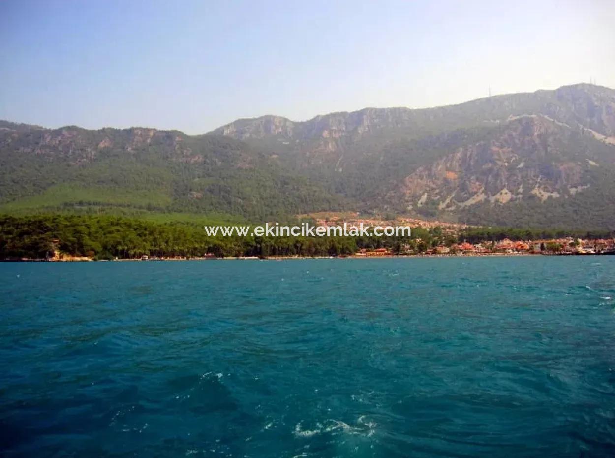 Gökçe Gökçe 21671M2 Farm For Sale For Sale