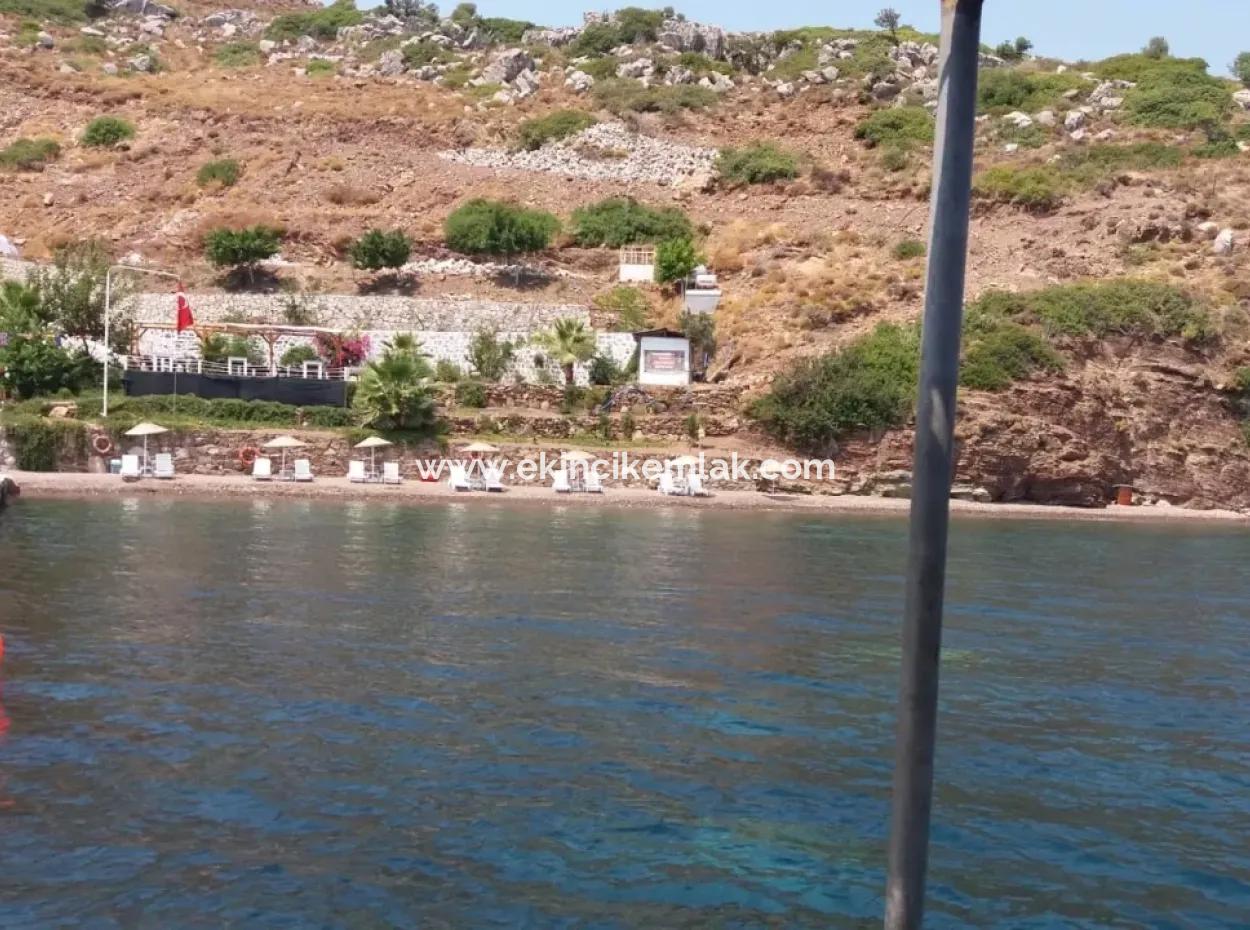 Custom Village By The Sea For Sale Villa For Sale In Osmanabad