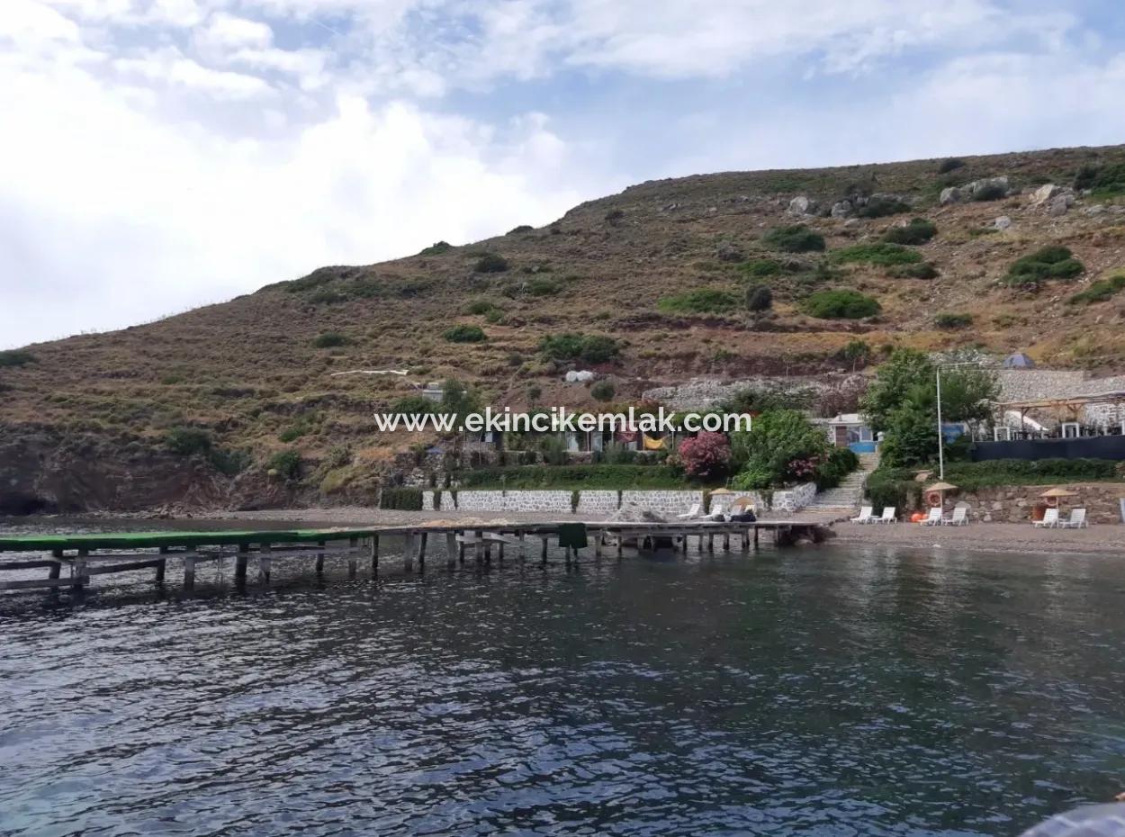 Custom Village By The Sea For Sale Villa For Sale In Osmanabad