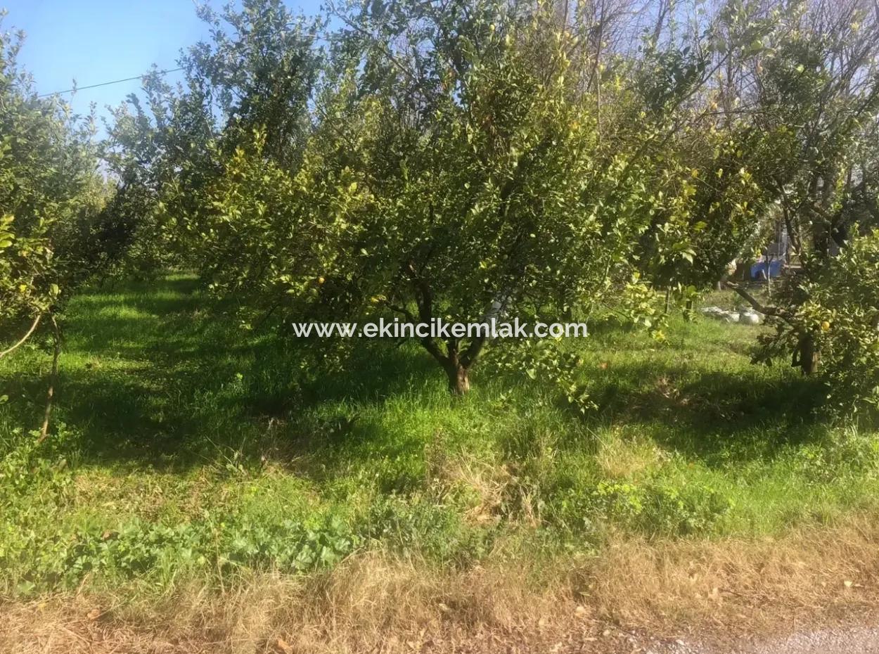 Raiders 803M2 Land For Sale In Plot For Sale