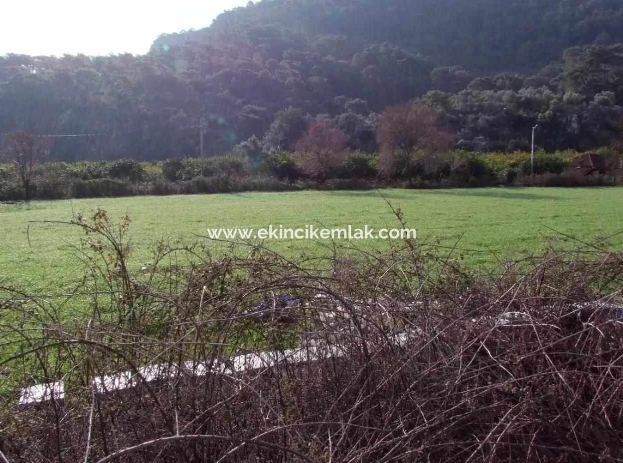 For Sale In Koycegiz, Dalyan Plot For Sale 10629M2