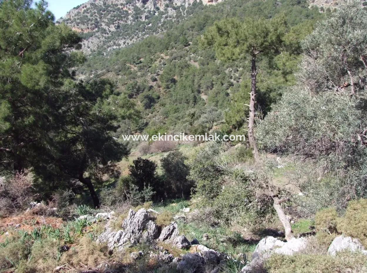 Land  For Sale With Sea View For Sale In Gokbel