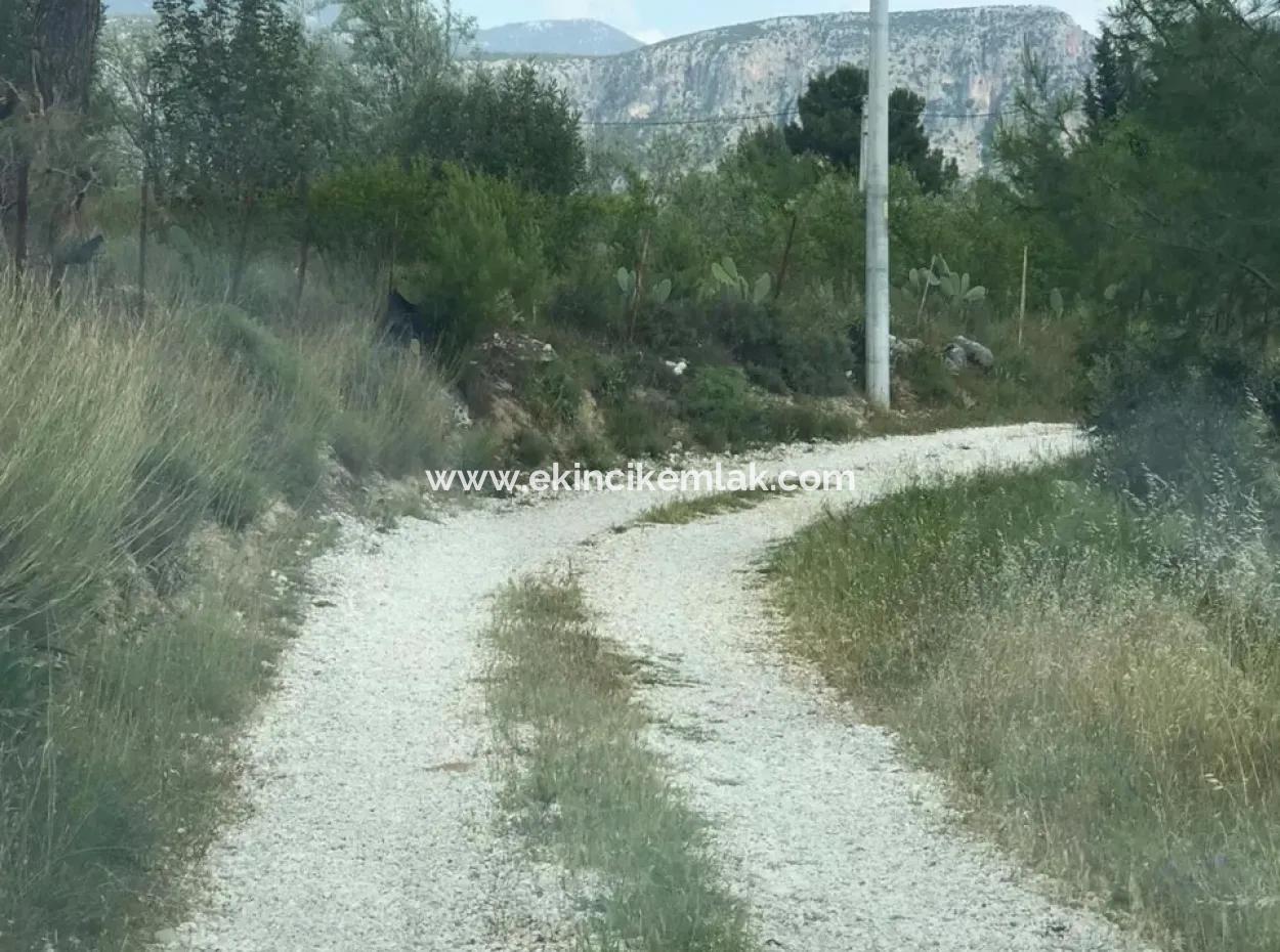 Land For Sale In Seydikemer Korubuku 76000M2