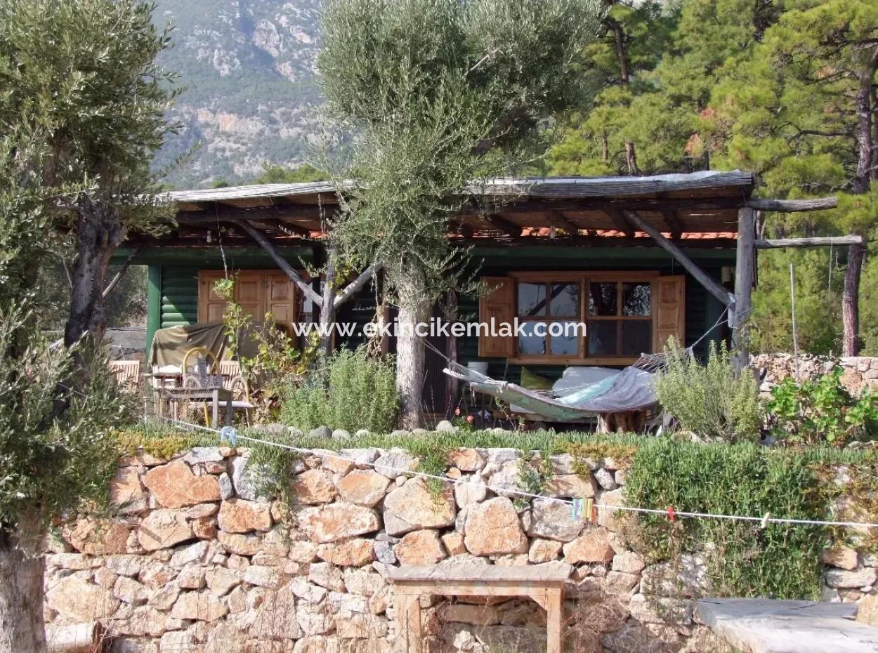 Beachfront Bungalow For Sale In Akbuk By The Sea In A Plot Of 800M2 Villa For Sale Turnalı