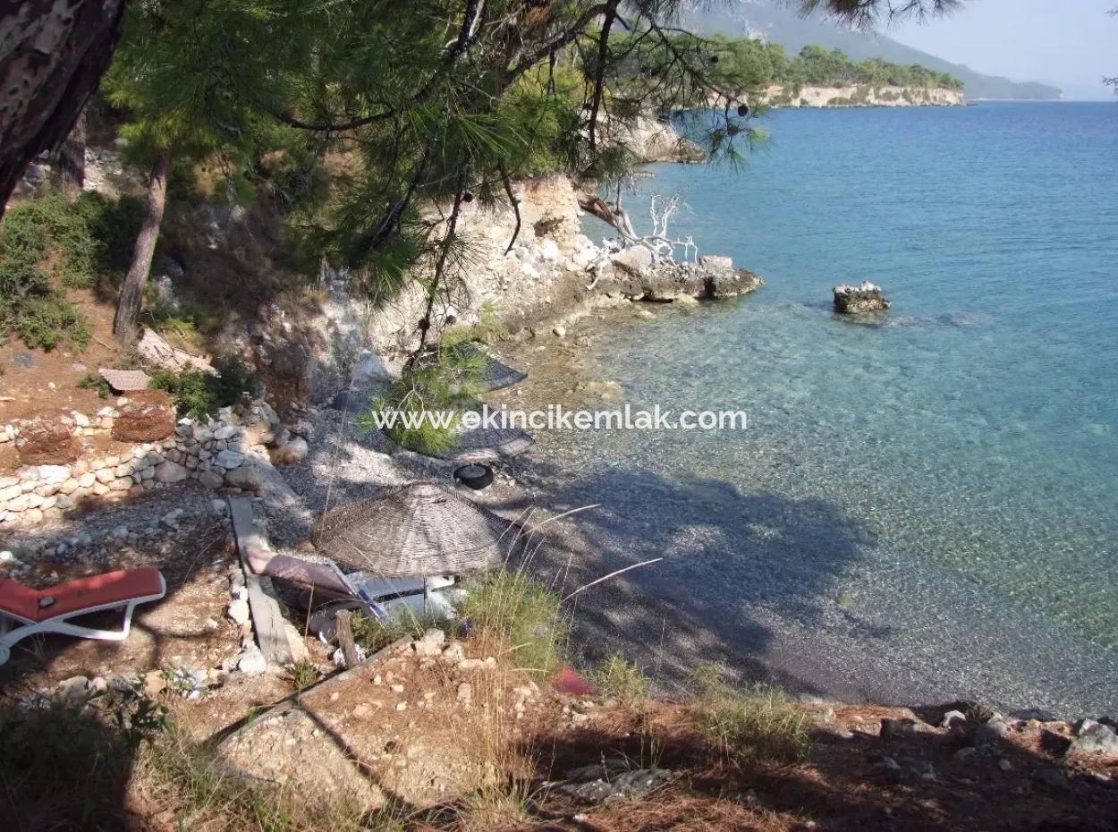 Beachfront Bungalow For Sale In Akbuk By The Sea In A Plot Of 800M2 Villa For Sale Turnalı