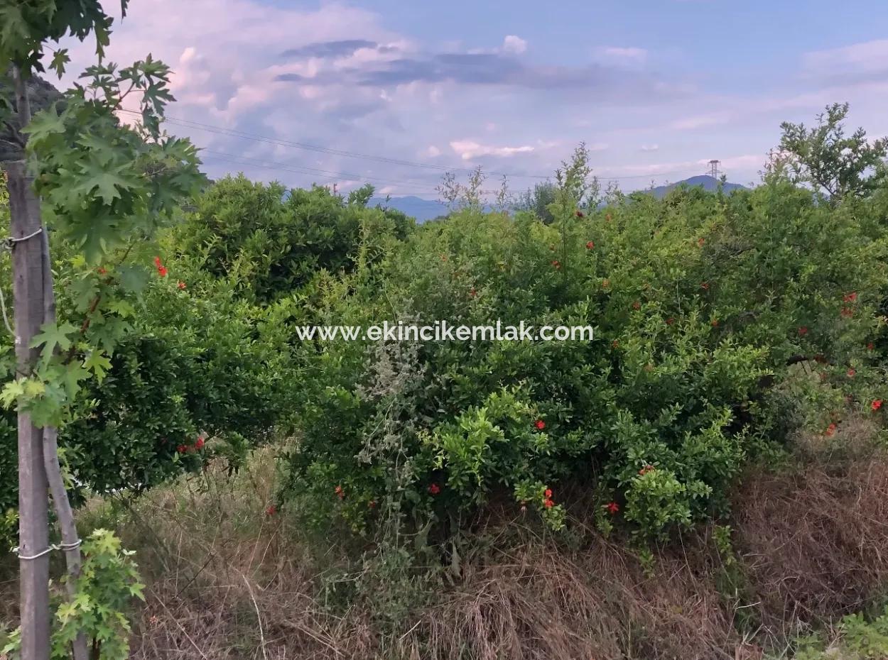 722M2 Plot For Sale In Dalyan Gülpınar For Sale