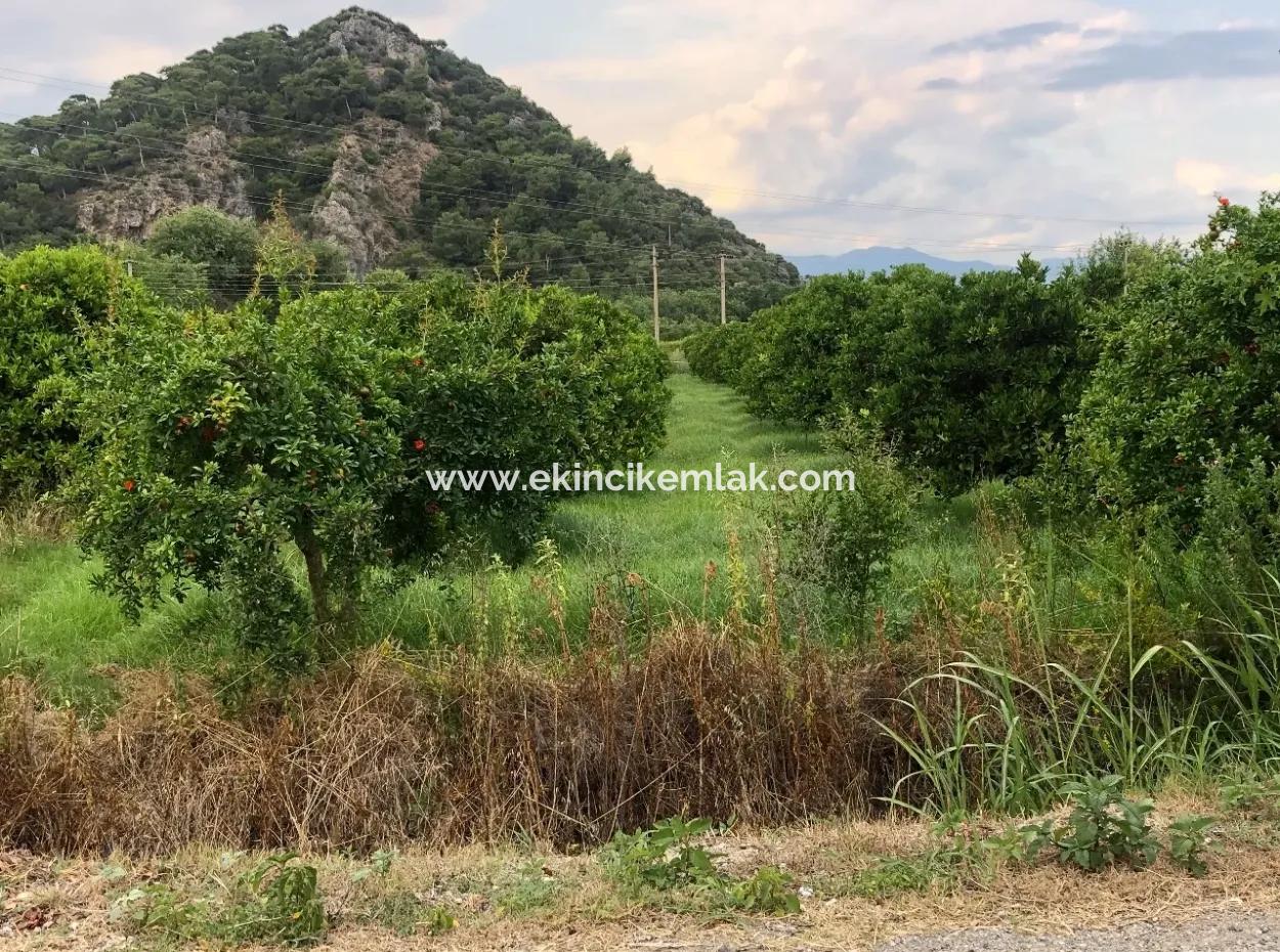 722M2 Plot For Sale In Dalyan Gülpınar For Sale